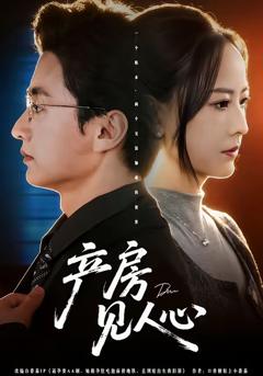 免费在线观看完整版短剧《产房见人心》