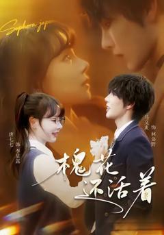 免费在线观看完整版短剧《槐花还活着》