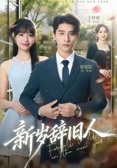 免费在线观看完整版短剧《新岁辞旧人》
