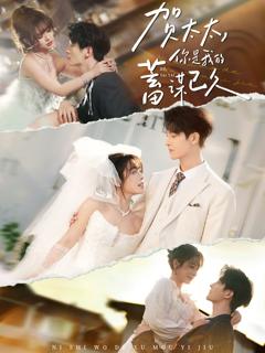 免费在线观看完整版短剧《贺太太，你是我的蓄谋已久》