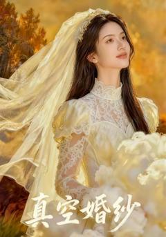 真空婚纱