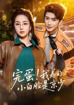 完蛋!我养的小白脸是京少