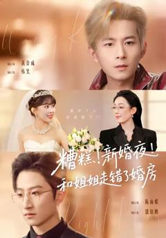 免费在线观看完整版短剧《糟糕！新婚夜！和姐姐走错了婚房》