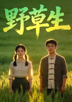 免费在线观看《野草生》