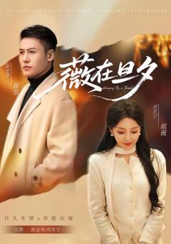 免费在线观看完整版短剧《薇在旦夕》