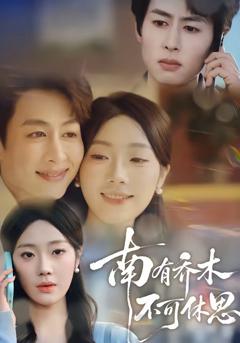 免费在线观看完整版短剧《南有乔木，不可休思》