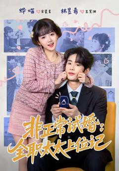 非正常试婚：全职太太上位记