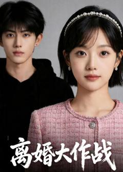 离婚大作战