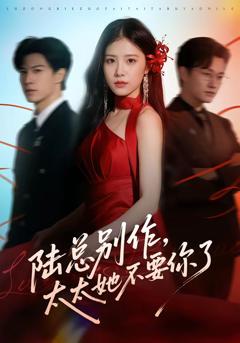 免费在线观看完整版短剧《陆总别作，太太她不要你了》