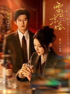免费在线观看完整版短剧《雪夜京婚》