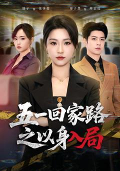 免费在线观看完整版短剧《五一回家路之以身入局》