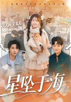 免费在线观看完整版短剧《星坠于海》