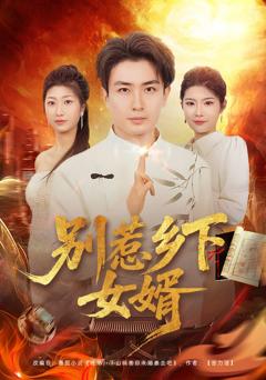 免费在线观看完整版短剧《别惹乡下女婿》