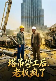 免费在线观看《塔吊停工后老板疯了》