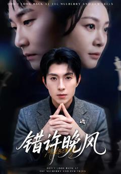 免费在线观看完整版短剧《错许晚风》