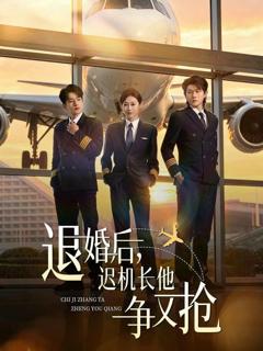 免费在线观看完整版短剧《退婚后，迟机长他争又抢》