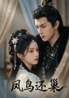 免费在线观看《凤鸟还巢》