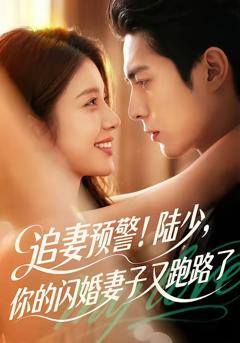 免费在线观看《追妻预警！陆少，你的闪婚妻子又跑路了》
