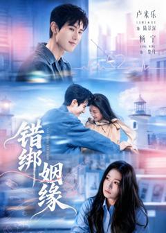 免费在线观看完整版短剧《错绑姻缘》