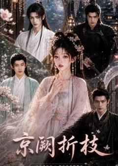 免费在线观看《京阙折枝》