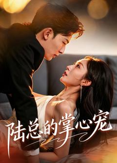 免费在线观看完整版短剧《陆总的掌心宠》