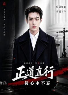 免费在线观看《正道直行：初心永不忘》