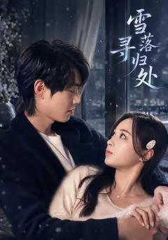 免费在线观看完整版短剧《雪落寻归处》