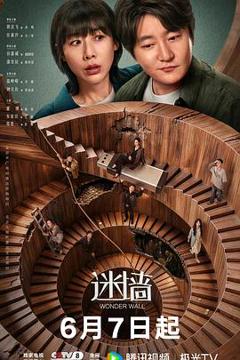 免费在线观看完整版国产剧《迷墙2026》