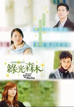 免费在线观看完整版台湾剧《绿光森林》