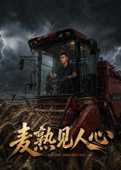 麦熟见人心