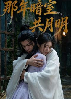 免费在线观看《那年暗室共月明》