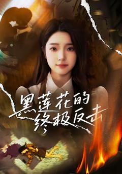 免费在线观看《黑莲花的终极反击》