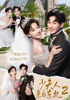 免费在线观看《少夫人来自东北2》