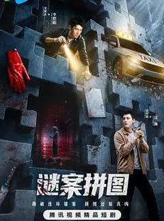 免费在线观看完整版国产剧《谜案拼图》