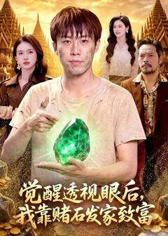 免费在线观看《觉醒透视眼后，我靠赌石发家致富》