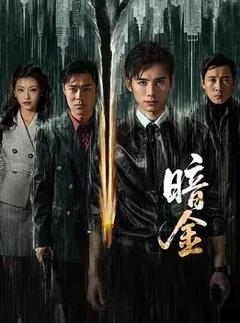 免费在线观看完整版国产剧《暗金》