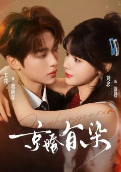 免费在线观看《京婚有染》