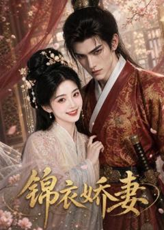 免费在线观看《锦衣娇妻》