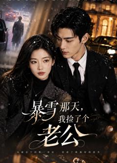 免费在线观看《暴雪那天，我捡了个老公》