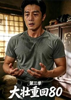 免费在线观看《大壮重回80第三季》
