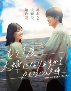免费在线观看完整版日本剧《要再做一次夫妇吗?~伪装夫妇~》