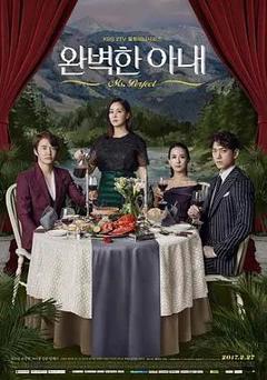 免费在线观看完整版韩国剧《完美的妻子》