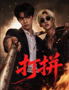 免费在线观看完整版国产剧《打拼》