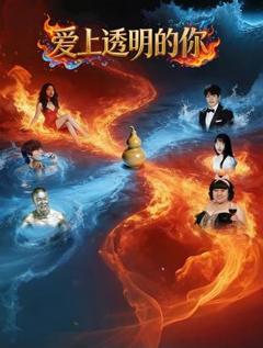 免费在线观看《爱上透明的你》