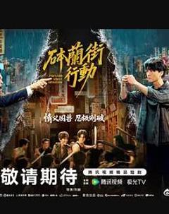 免费在线观看完整版国产剧《砵兰街行动》