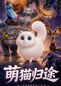 免费在线观看《萌猫归途》