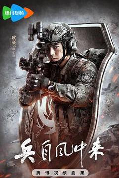 免费在线观看完整版国产剧《兵自风中来》