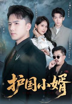 免费在线观看《护国小婿》