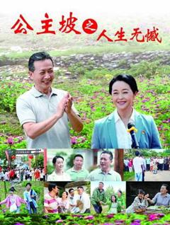 公主坡之人生无憾