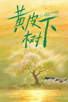 黄皮树下